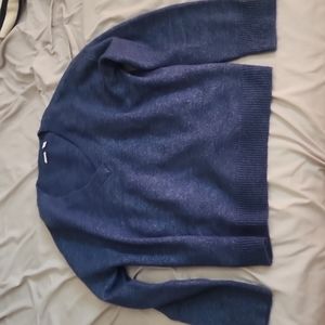 Gap fitted blue v-neck sweater